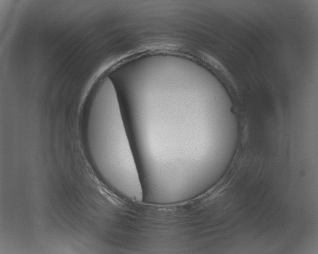 X0000051911027200506241058