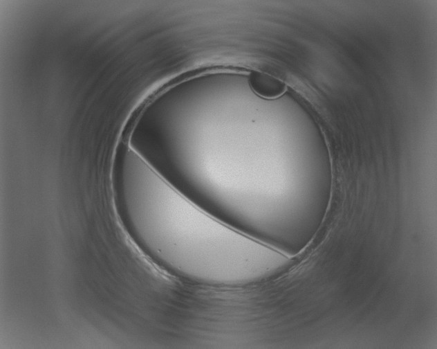 X0000051911028200506241058