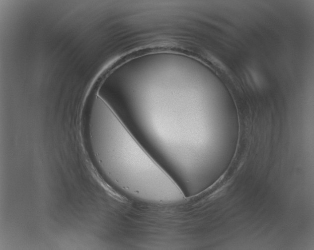 X0000051911029200506241058