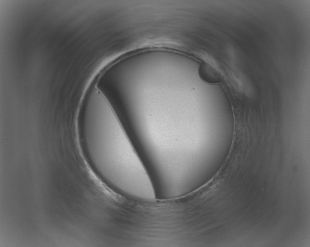 X0000051911032200506241058