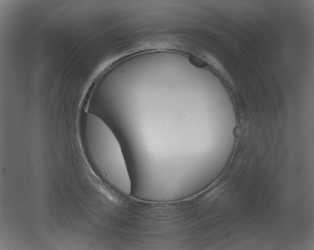 X0000051911035200506241058