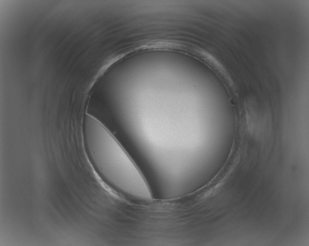 X0000051911041200506241058