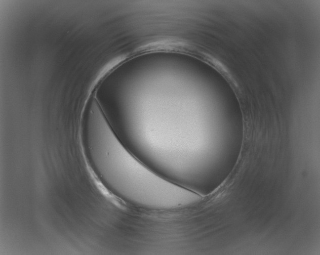 X0000051911042200506241058