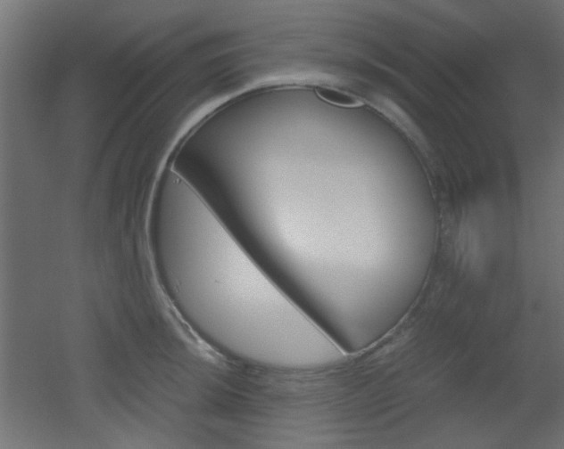 X0000051911044200506241058