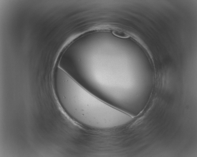 X0000051911045200506241058