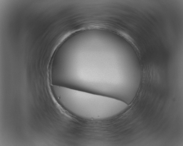 X0000051911047200506241058