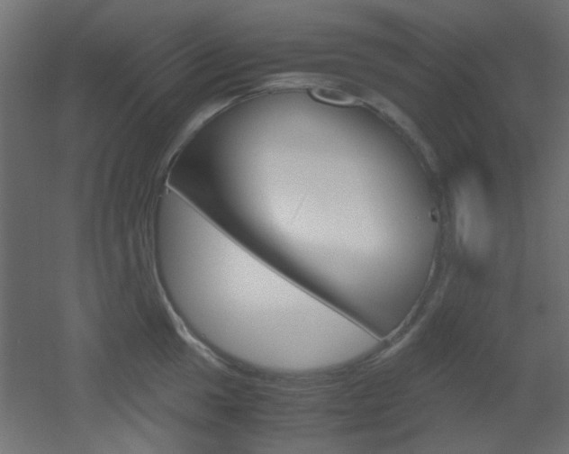X0000051911049200506241058