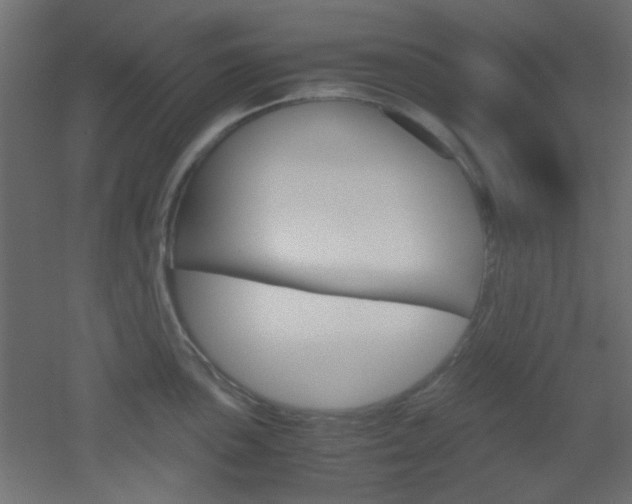 X0000051911051200506241058