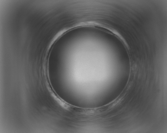 X0000051911054200506241058