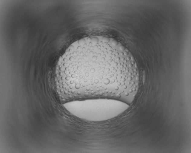 X0000051911059200506241057