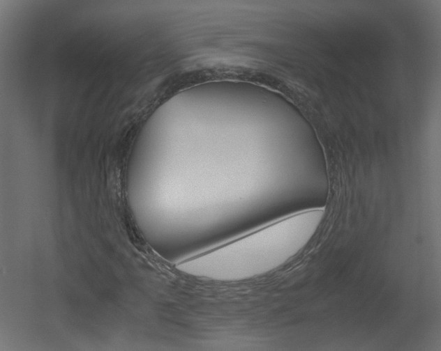 X0000051911061200506241057