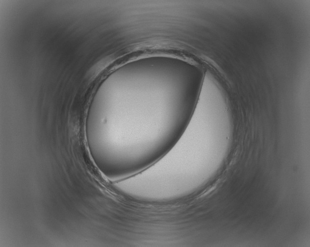 X0000051911065200506241057