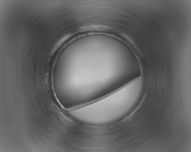 X0000051911066200506241057