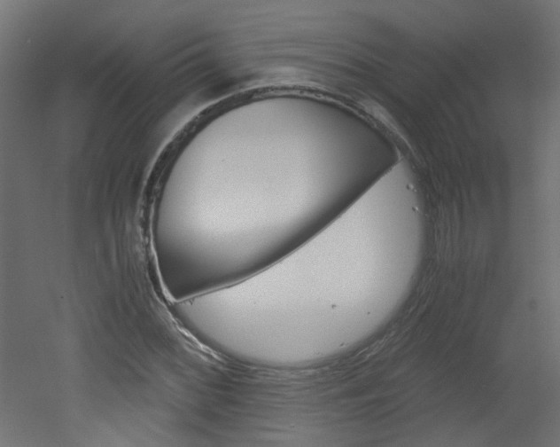 X0000051911068200506241057