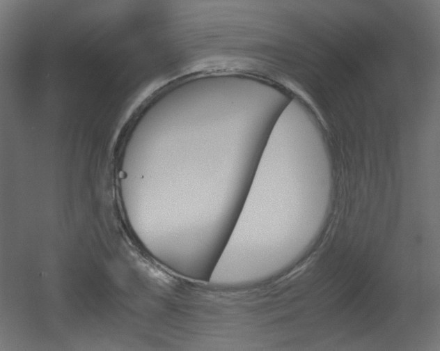 X0000051911075200506241057
