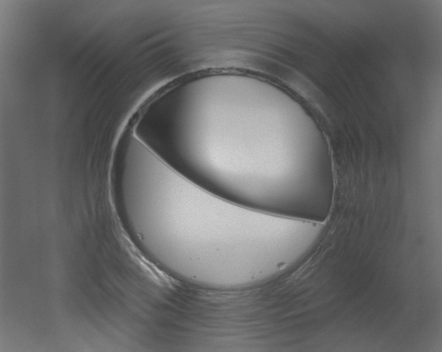 X0000051911076200506241057