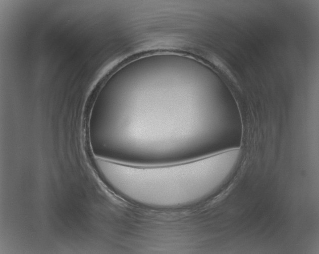 X0000051911077200506241057