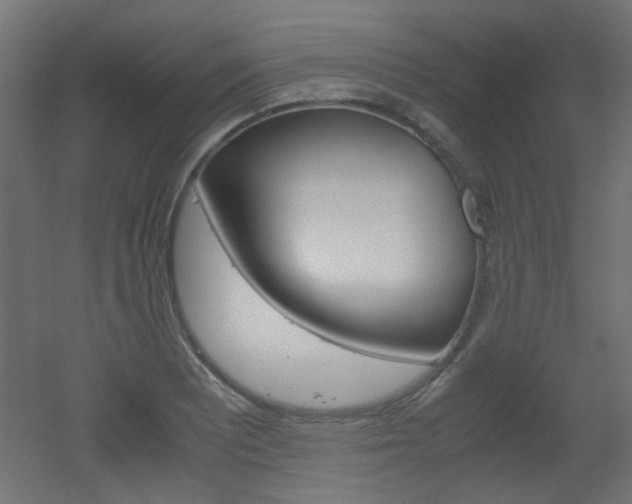 X0000051911081200506241057