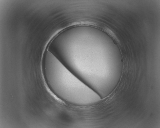 X0000051911084200506241057