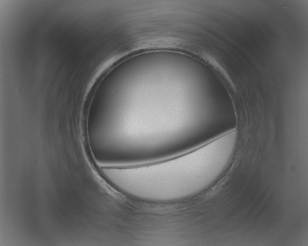 X0000051911085200506241057