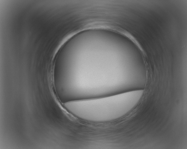 X0000051911101200506241056