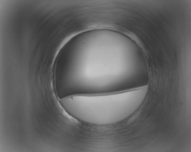 X0000051911102200506241056