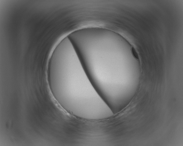 X0000051911104200506241056