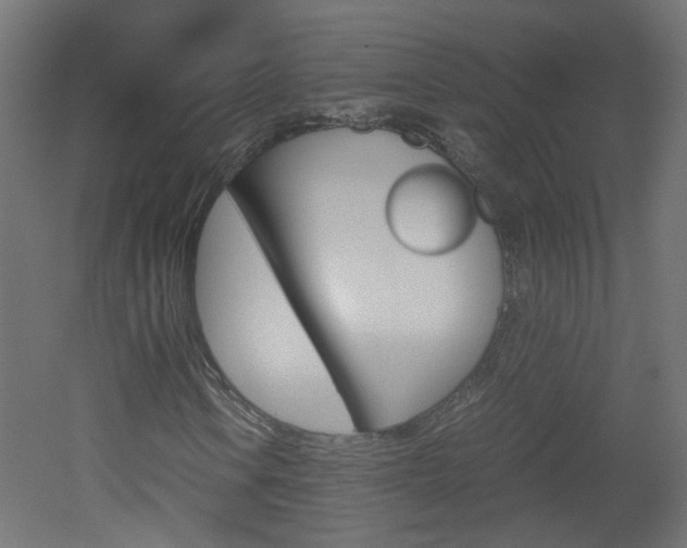 X0000051911106200506241056