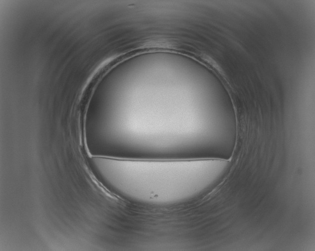 X0000051911123200506241056