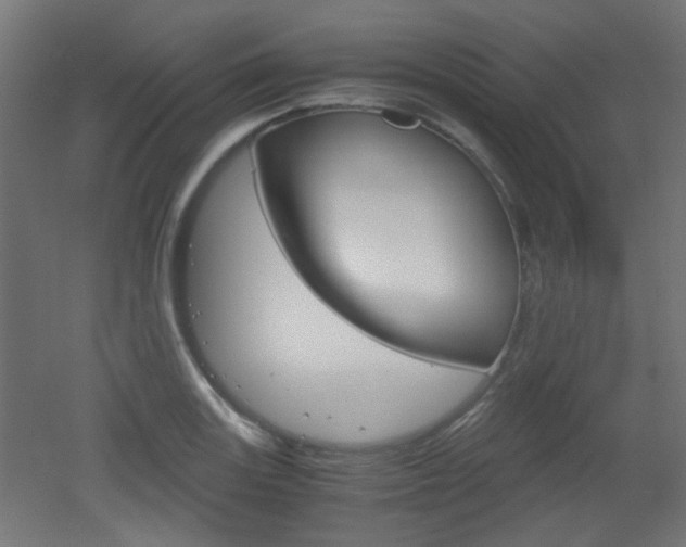 X0000051911131200506241056