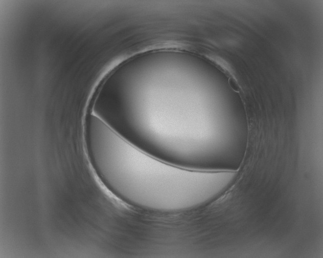 X0000051911135200506241056