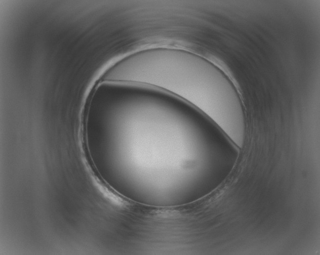 X0000051911136200506241056