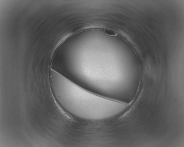 X0000051911137200506241056