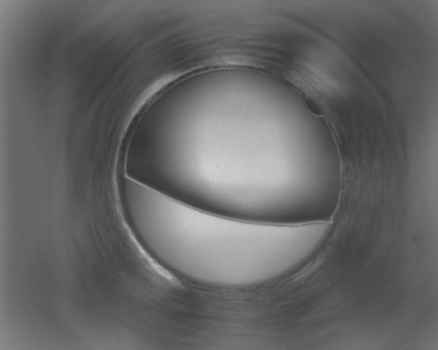 X0000051911141200506241056