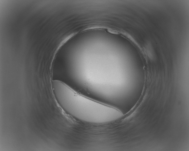 X0000051911145200506241056
