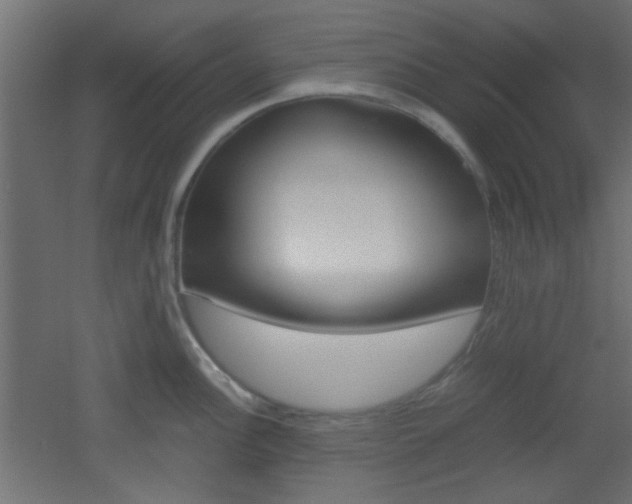 X0000051911148200506241056