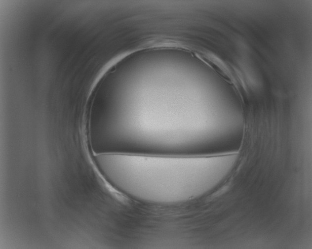 X0000051911149200506241056