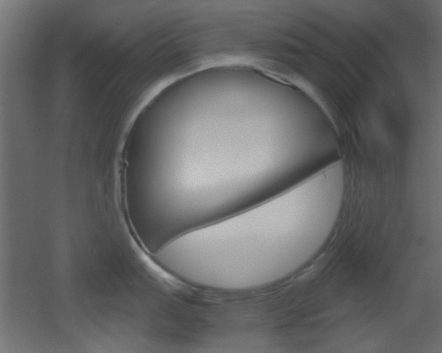 X0000051911151200506241056