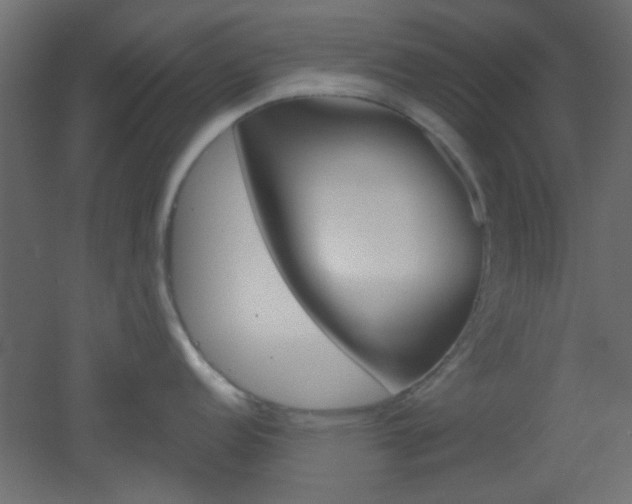 X0000051911152200506241056