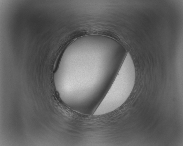 X0000051911153200506241056