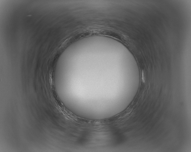 X0000051911155200506241056