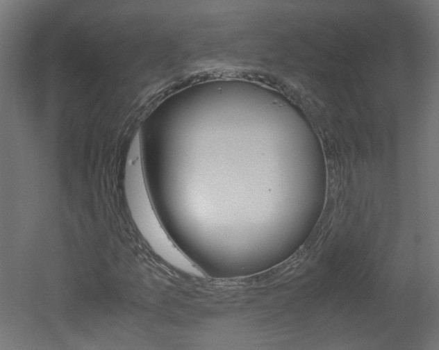 X0000051911157200506241056