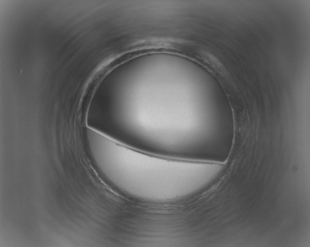 X0000051911172200506241055