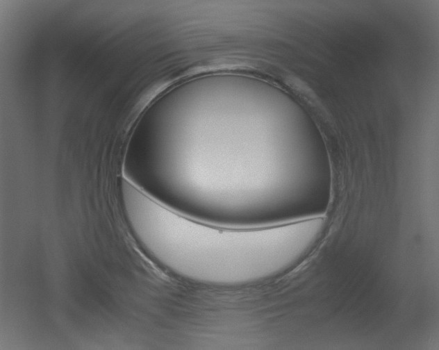 X0000051911177200506241055