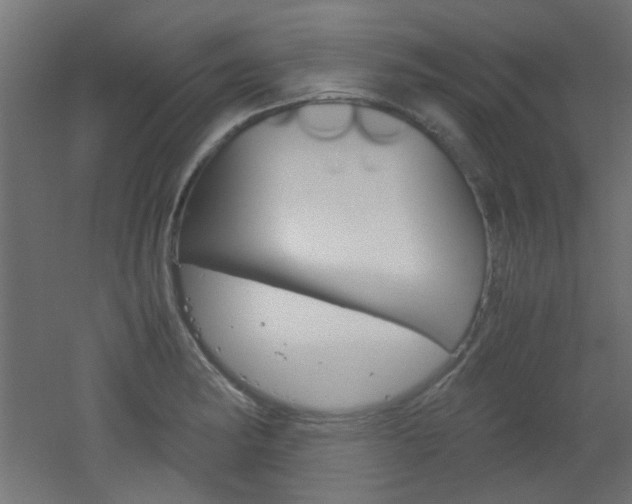 X0000051911182200506241055