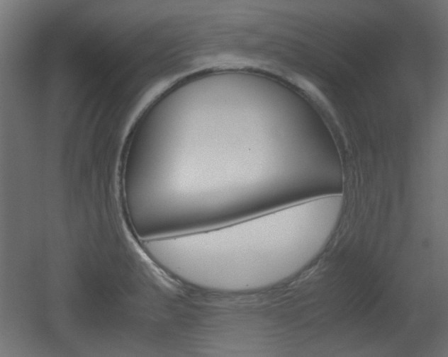 X0000051911183200506241055
