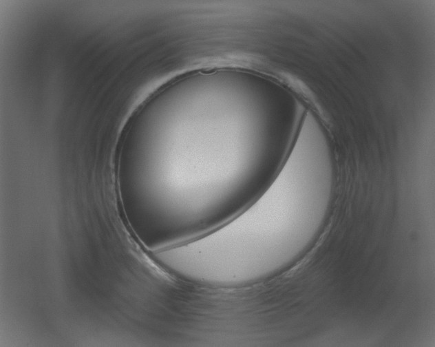 X0000051911184200506241055