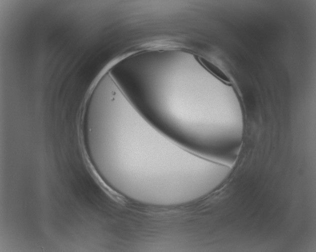 X0000051911195200506241055