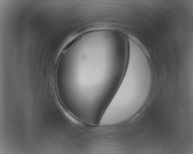 X0000051911197200506241055