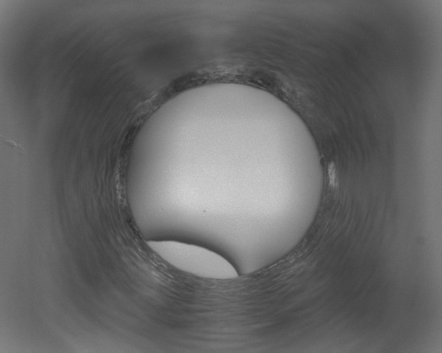 X0000051911203200506241054